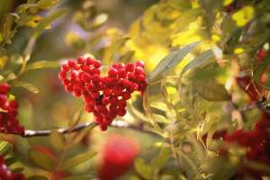 ��� ���������� ������� ����������! - ����������� 1