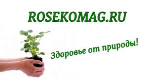 ��� ���������� ���������� - ����������� 1