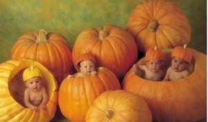 ��� ����������� ���� ������� - ����������� 1