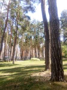 ��� ����������� ������� - ����������� 1