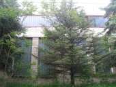 ������� � ����������: ��� ������������ ������ ����� 6500 �2 � �������� 80 �.����