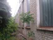 ��� ������������ ������ ����� 6500 �2 � �������� 80 �.���� - ����������� 3