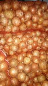 ��� ������������ - ��������� �� ������� - ����������� 1