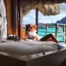 ��� ��������,����� �������. ������ ����� ������� - ������