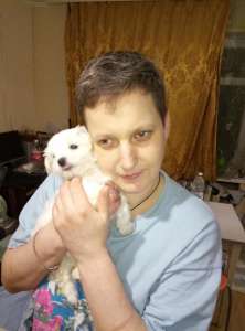 ��� �������,�������� - ����������� 1