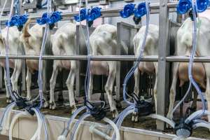 ��� ��������������� ������� ������������. ������-���� �� �����������. ������������� ������ ����� �� 2000 ����� - ����������� 1