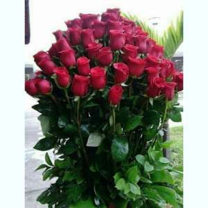 ���a���� �a�o�� ��� �e����� - ����������� 1