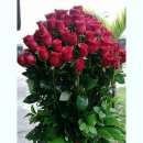 ���a���� �a�o�� ��� �e����� - ����������� 1