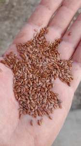 ���i��� �����, ���� ����������, ���� �������, ���� ������, c����� ����, �������, ����� - ����������� 1