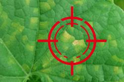 ���ò������ ����� ������� (1 �/��) + ��������� (0,5�/��) - ����������� 1