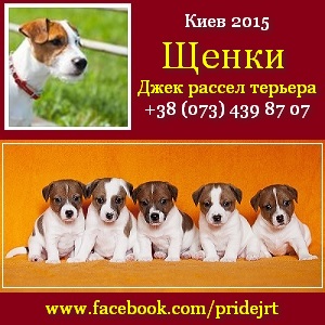 ���� 2015 ����� ���� ������ ������� �������� - ����������� 1