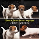 ������� � ����������: ���� 2017 ����� ���� ������ ������� �������� ������