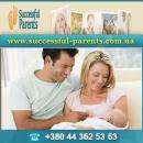 ������� � ����������: ���� 2017 ������ ����������� ���� � �������