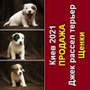 ������� � ����������: ���� 2021 ����� ���� ������ ������� �������