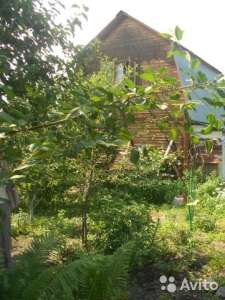 ���� 50 ��.�. �� ������� 3.5 ���. - ����������� 1