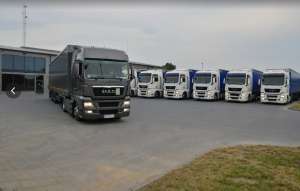 ���� C+E | ͳ�������, �������, ������� | ������ ������ - ����������� 1