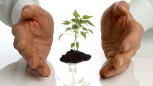 ���� � ��� ��� ������ ������ ��� �������� - ����������� 1