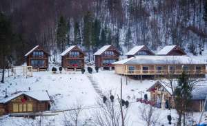 ���� � ���� �� ������ ����� � ��������� �� ������� - ����������� 1