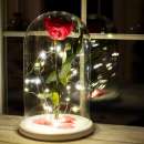 ���� � ����� - ����������� 3