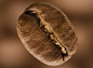 ���� � ������. ������� � �������. ������ � �����. - ����������� 1