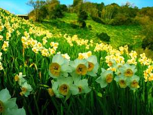 ���� � ������ ��������� �� �������, ���������� �� ����� ������� ������� ���������, ������� ���� �� ��� - ����������� 1