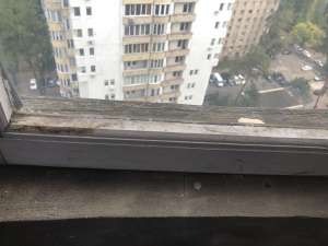 ���� � ������ ��������� ��������� - ����������� 1