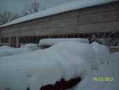 ���� � ������ ������������������ ���. ������ ��������� - ������������