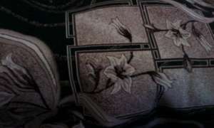 ���� � ������� - ����������� 1