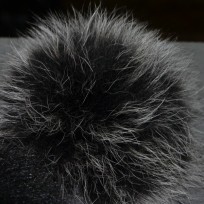 ���� � ��������� - ����������� 1