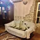 ���� � ���������� ������ ���� 2-� ���. ����� ������� - ����������� 2