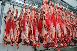 ���� � ������������ ������ ��� �� 100 �� �������� - ����������� 1