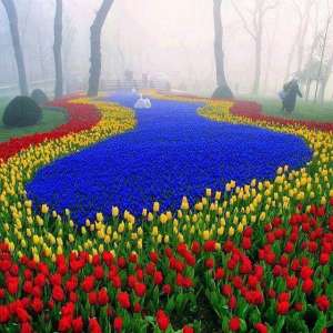 ���� �� 8 ����� � �������, ��� �� 8 ����� � ��������, �������� �� �������� �� ����� - ����������� 1