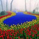 ������� � ����������: ���� �� 8 ����� � �������, ��� �� 8 ����� � ��������, �������� �� �������� �� �����