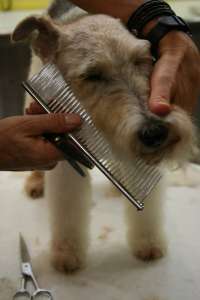 ���� �� ����� �� ��������� ��� ����� - ����������� 1