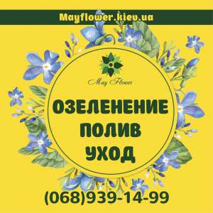 ���� �� �����, ����������, ������ ���������, ������� � ������� �������� - ����������� 1