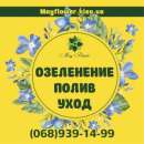 ���� �� �����, ����������, ������ ���������, ������� � ������� ��������. ������ ������ - ������