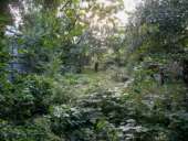 ���� �� �������, ������� - ����������� 3