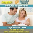 ������� � ����������: ���� �� ������� ����������� ��� ������� ����������