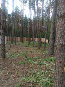 ���� �� �������� ���������, ������ ����� - ����������� 1