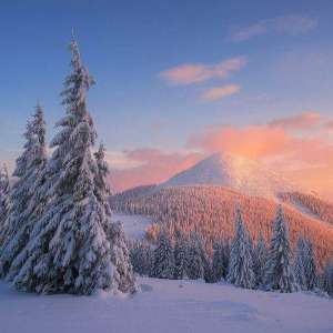 ���� �� ���������� ����� ��� �� �����, ��� � ������� ����� ��� �������� - ����������� 1