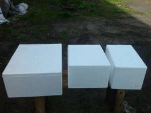 ���� �� ���������� (����������, ��������, ��� �����) - ����������� 1