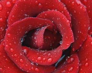 ���� �� ������������ � �������� - ����������� 1