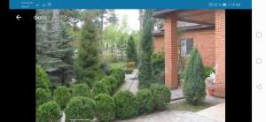 ���� ��� � �.����� - ����������� 1