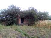 ���� ��� ��� ������� � �.�������-�������������. - ����������� 2