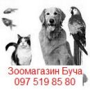 ���� ��� ����� - ����������� ����������.