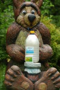 ���� ��� ������ - ����������� 1