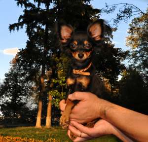 ���� ��� ������, ������� ������ �� ������. - ����������� 1