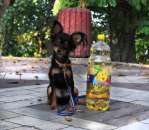 ������� � ����������: ���� ��� ������, ������� ��������