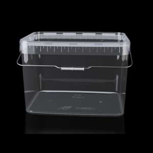 ���� ��� ������� - ����������� 1