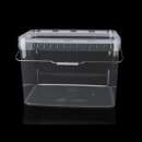 ���� ��� �������. ��� ��� ���� - �������/�������